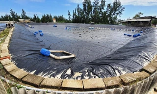 Một người nuôi tôm bị điện giật tử vong khi sửa chữa ao hồ