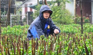 Huế lạnh như mùa đông vào giữa tháng 4