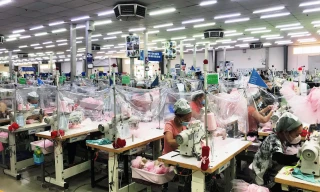 TT-Huế giảm thuế, tiền thuê đất để hỗ trợ phục hồi kinh tế