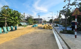 Đường hàng chục tỷ đồng làm xong chỉ để… phơi lúa