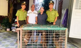 Một người dân cùng lúc giao nộp 3 cá thể động vật hoang dã quý hiếm