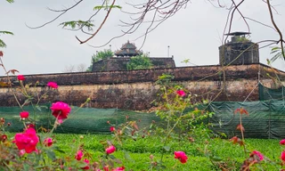 Đầu tư gần 50 tỷ đồng trùng tu mặt tây Kinh thành Huế