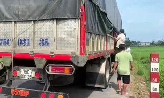 Phương tiện chở 8 người "trốn chui" trong các khoảng hở chứa hàng để tránh cách ly.