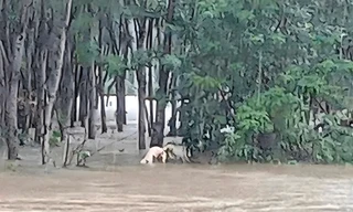 Tìm thấy thi thể người đàn ông sau hơn nửa tháng mất tích ở TT-Huế