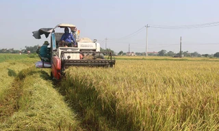 Cảnh báo khẩn trương chuẩn bị ứng phó áp thấp nhiệt đới