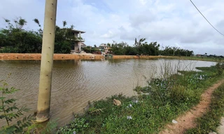 Đấu giá đất thu tiền tỷ dùng trả nợ rồi ‘đem con bỏ chợ’?