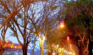 Phố đêm Hoàng thành Huế hoàn tất công tác chuẩn bị nhưng hoãn khai trương vì lý do dịch bệnh. Ảnh: CTV