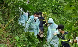 Nam giáo viên chết treo cổ trên đỉnh đồi ở TT-Huế