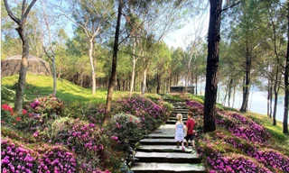 Phối cảnh lối đi bộ trên đồi Vọng Cảnh. Ảnh Thái Bường