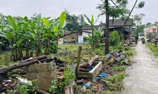 Huế đính chính thông tin lô 'đất làng' giá khởi điểm 45 triệu đồng/m2 gây choáng