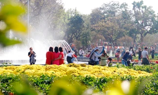 Đường hoa ven sông Hương vẫn tấp nập khách du Xuân 