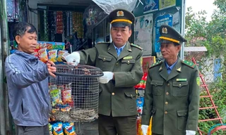 Phát hiện con vật quý hiếm bò vào vườn nhà ở Huế