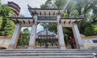 Phát hiện bất ngờ trên văn bia trước chùa Từ Đàm