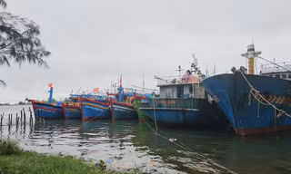 Thừa Thiên-Huế kêu gọi tất cả tàu thuyền vào bờ trú tránh bão, Quảng Nam cấm biển từ 10h sáng nay 