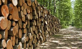 Làm rõ việc đơn vị đấu giá cầm hàng tỷ tiền cọc rồi 'im hơi lặng tiếng'