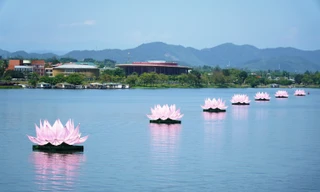 Tuần lễ Phật đản tại Huế: Lan tỏa lòng nhân ái