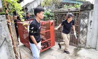 Cứu hộ cá thể gấu ngựa bị nuôi nhốt 27 năm tại Nghệ An, chuyển về TP Huế chăm sóc