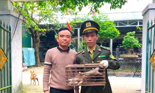 Con vật lạ nghi thú quý hiếm đi lạc vào vườn nhà dân