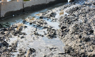 'Tuýt còi’ dự án đổ hàng nghìn m3 bùn thải xuống ao hồ tự nhiên