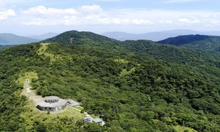 Cho thuê hơn 2.500 ha rừng Vườn quốc gia Bạch Mã làm du lịch