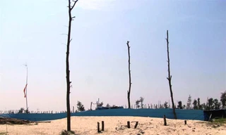 Doanh nghiệp đến Huế đầu tư, ngang nhiên phá rừng phòng hộ