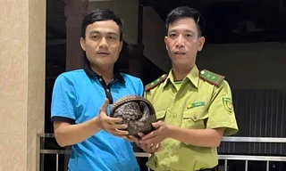 Người dân tự nguyện giao nộp con vật quý hiếm, nguy cơ tuyệt chủng