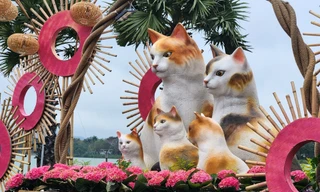 Chiêm ngưỡng hình tượng mèo và muôn màu sắc Xuân từ làng đến phố xứ Huế