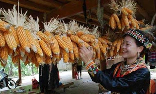 Sơn nữ Việt trả nợ bằng...chuyện ấy