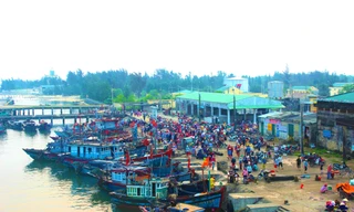 Quảng Trị xử phạt nhiều tàu cá vi phạm IUU