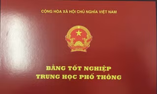 Dùng bằng giả, Phó Bí thư Đảng ủy xã bị cách chức tất cả chức vụ Đảng