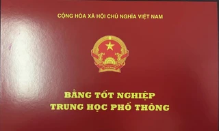 Dùng bằng giả, Phó Bí thư Đảng ủy xã bị cách chức tất cả chức vụ Đảng