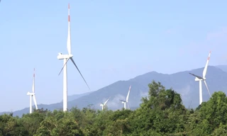 Đề xuất xử lý sai phạm liên quan đến vụ 21 trụ điện gió