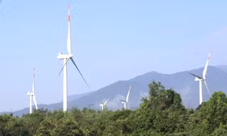 Đề xuất xử lý sai phạm liên quan đến vụ 21 trụ điện gió