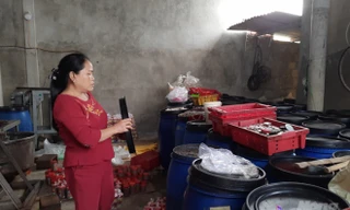 600 tấn hải sản tồn kho sau 5 năm sự cố Formosa vẫn chưa được tiêu hủy