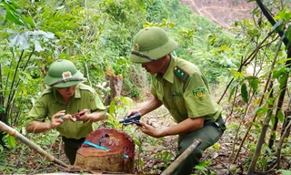 Phát hiện lâm tặc mở đường vận chuyển gỗ trong cánh rừng bị tàn phá ở Quảng Trị