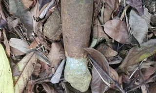 Phát hiện nhiều bom đạn trong khu bảo tồn thiên nhiên ở Quảng Trị