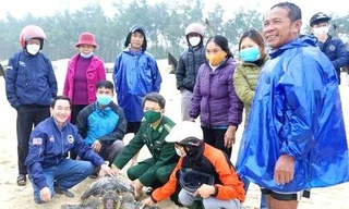 Rùa quý hiếm mắc lưới ngư dân được thả về với biển
