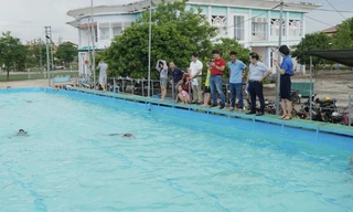 Học sinh khó khăn ở Quảng Trị được học bơi miễn phí