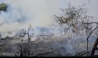 Truy tìm đối tượng gây ra nhiều vụ cháy rừng ở Quảng Trị