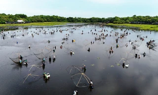 Đông nghịt du khách reo hò úp cá tại lễ hội 'phá Trằm' Trà Lộc 