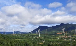 Chấm dứt chủ trương đầu tư 5 dự án điện gió chậm tiến độ tại Quảng Trị