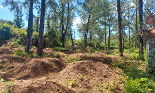 Lập mộ giả để chờ giải tỏa đền bù