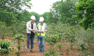 Dự án điện gió hơn 2.000 tỷ đồng ở Quảng Trị vướng giải phóng mặt bằng, huyện sẽ cưỡng chế thu hồi đất