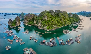 Vẻ đẹp vịnh Hạ Long - kỳ quan Việt Nam nổi tiếng thế giới