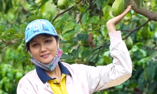 H'Hen Niê làm vườn, nấu ăn ngày tránh dịch