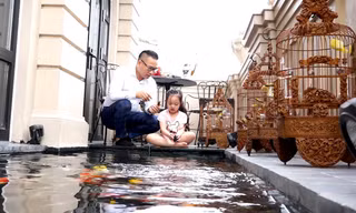 Bể cá Koi tiền tỷ trên sân thượng
