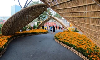 Đường hoa tươi dài 700 m ở Phú Mỹ Hưng