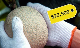 Vì sao dưa lưới Nhật giá hàng chục nghìn USD một trái?