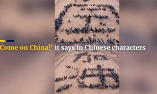 Xếp chữ với 1.000 con gà gửi thông điệp động viên giữa dịch covid-19