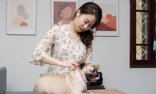 Thẻ điện tử dùng như chứng minh thư, chống thất lạc thú cưng